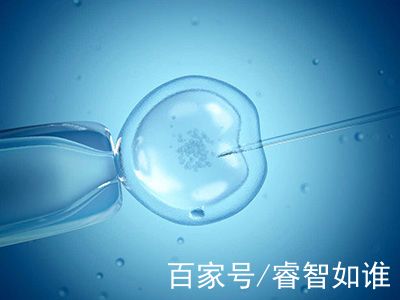 人工志愿者供卵咨询费用多少